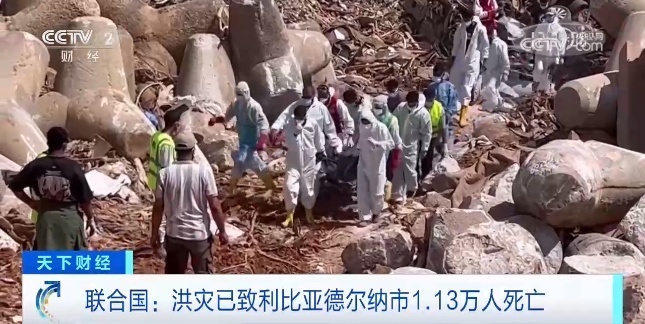 天9国际电脑版